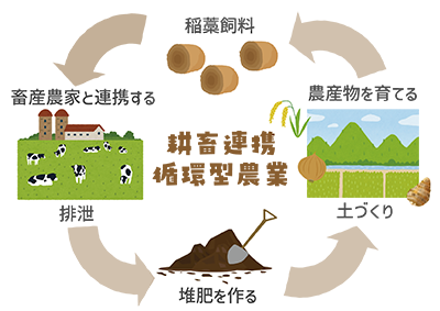耕畜連携循環型農業